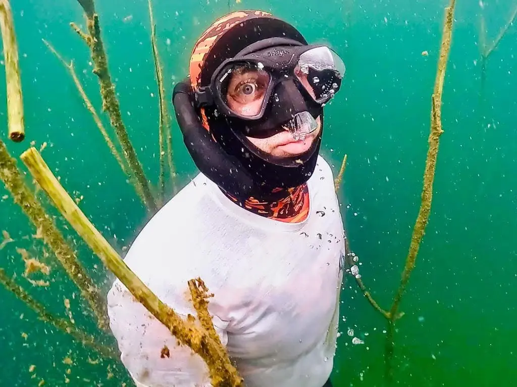 Formation apnée en milieu naturel — Freedive Evolution